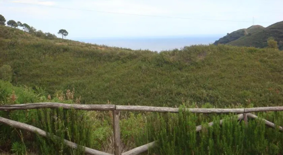Finca Beatriz