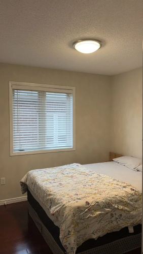 Beautiful Queen Room