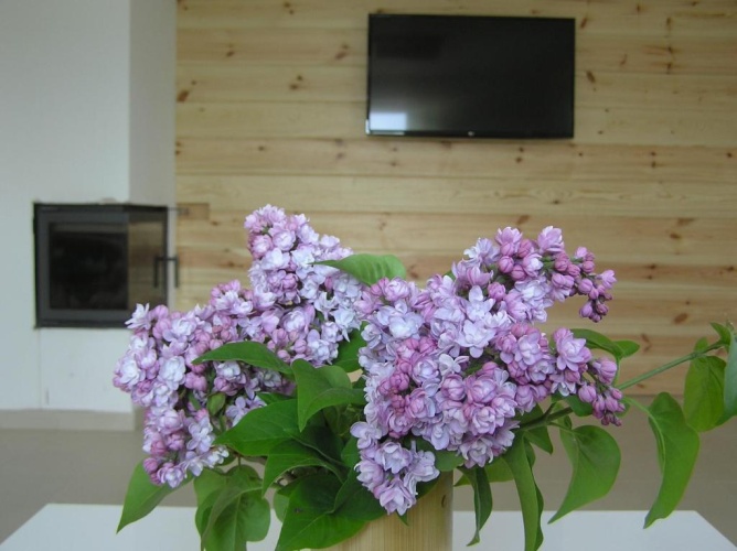 3 Bedrooms Apartment