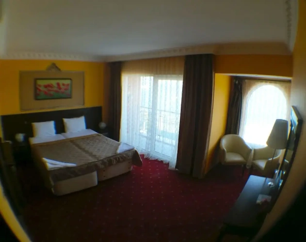 Standard Double room with balcony and with sea view