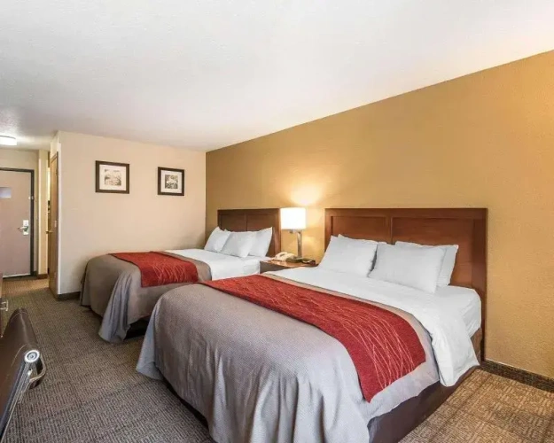 Standard Quadruple room