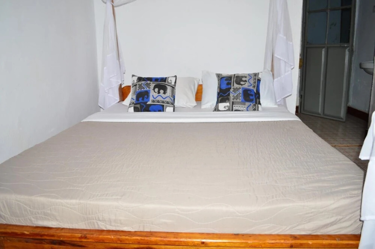 African wagtail hostel