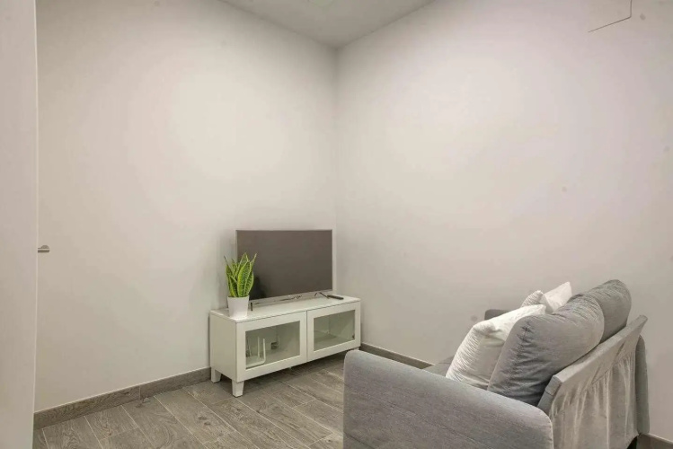 RiNa MADRID apartamento 2