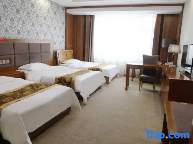 Deluxe Double room with city view