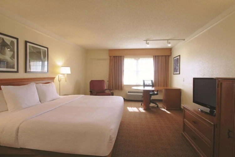 1 Bedroom Double Suite