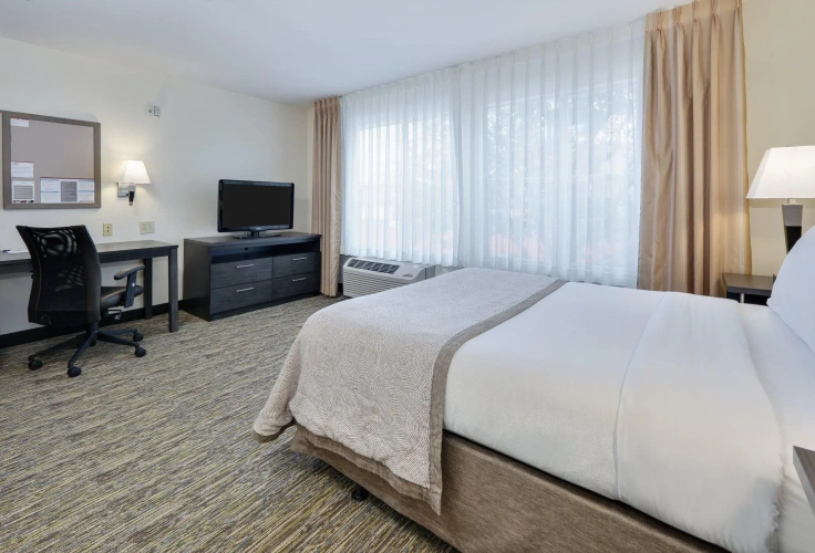 Accessible Double Studio Suite