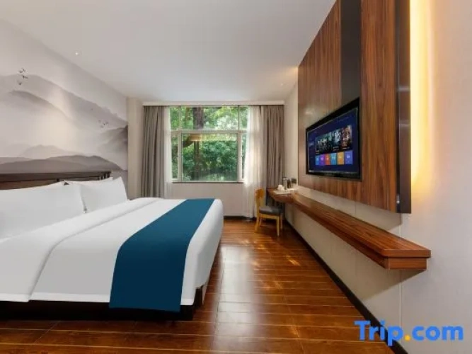 Standard Double room with city view