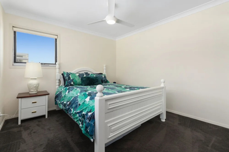 Casuarina Dreaming