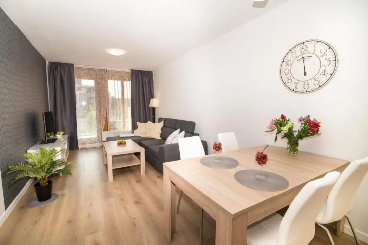 1 Bedroom Apartment