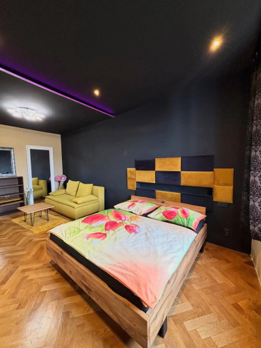 Historical 150 m2 Wenceslas square apartment