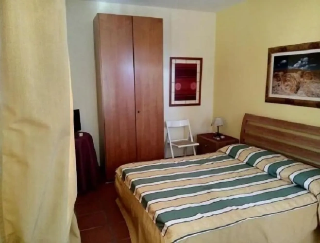 1 Bedroom Standard Apartment