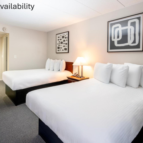 The View Inn & Suites