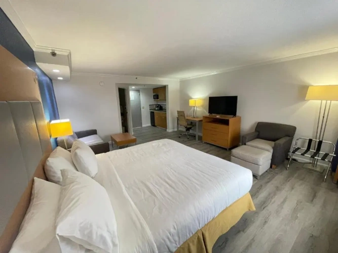 Suite