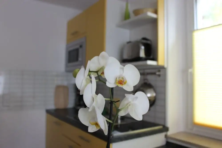 1 Bedroom Deluxe Apartment