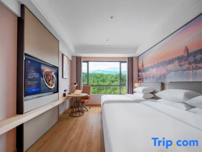 Deluxe Twin Family room