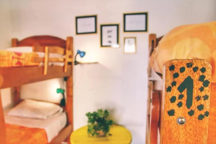 Jaguar House Hostel