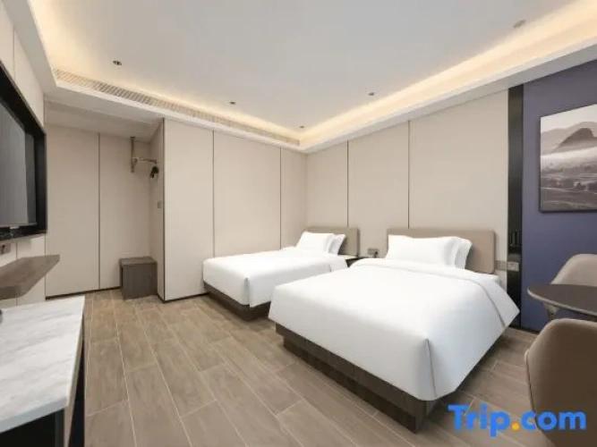 Deluxe Twin room with city view
