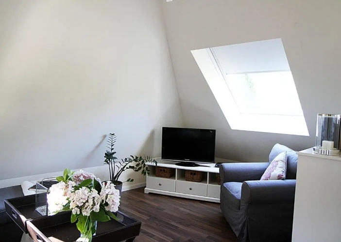 Penthouse Apartment