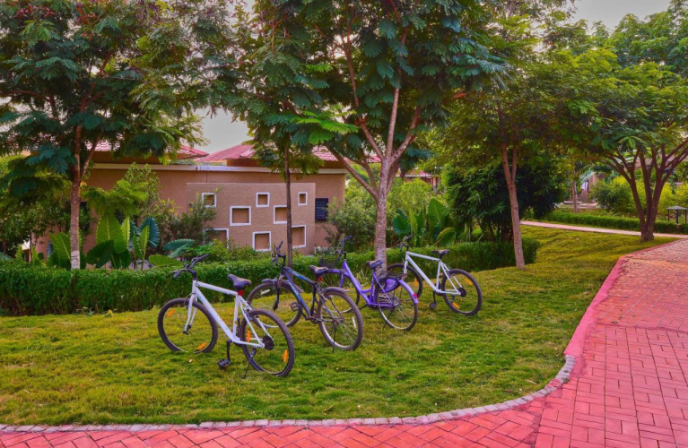 Krishna Jungle Resort