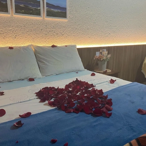1 Bedroom Comfort Apartment