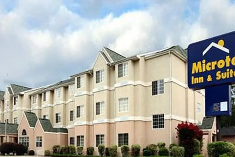 Single Suite