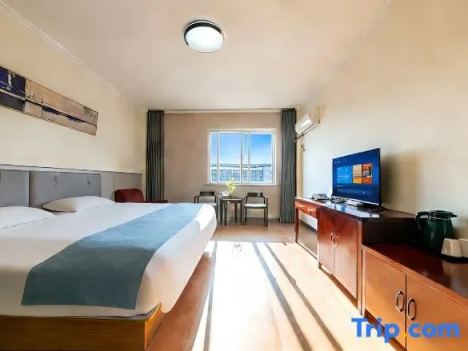 Standard Twin room with city view
