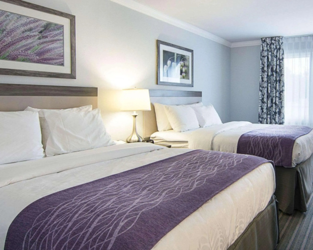 Comfort Inn Williamsburg Gateway