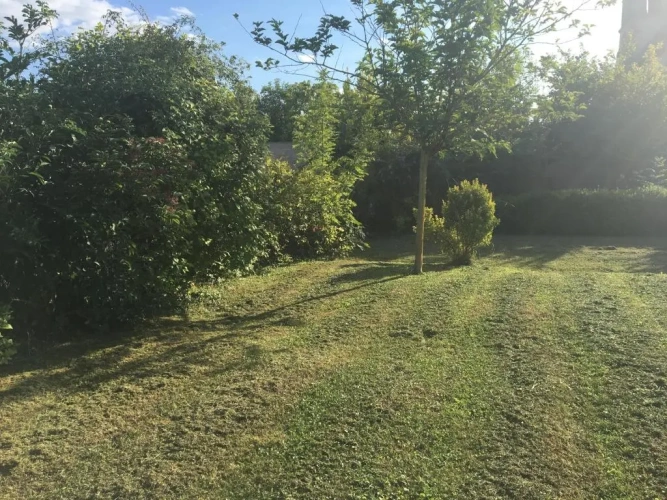 Standard Double room with park view