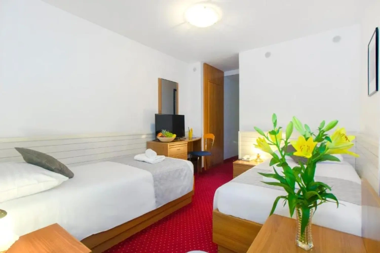 Standard Twin room with city view