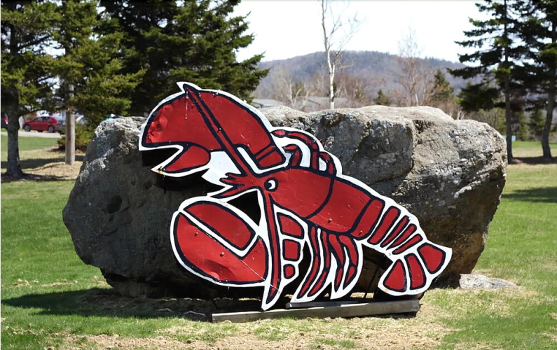 The Cove