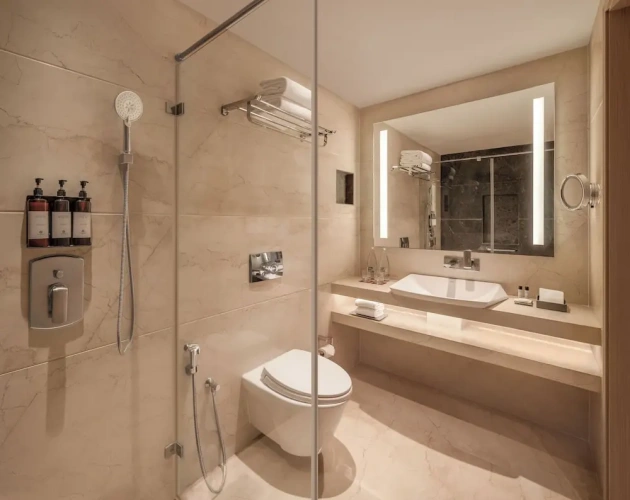 Premium Club room
