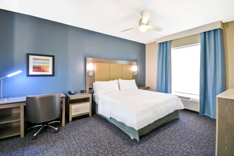 Mobility / Hearing Accessible Roll-In Shower Double Studio Suite