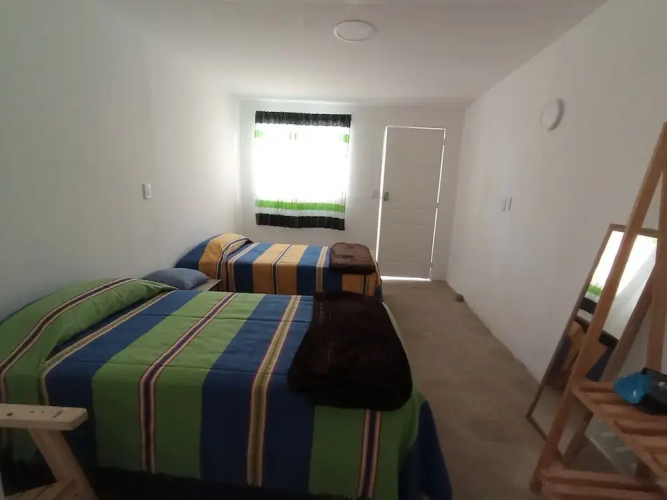 Iguana Co-living