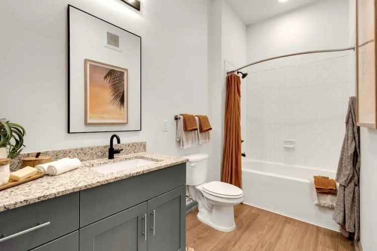 1 Bedroom Apartment
