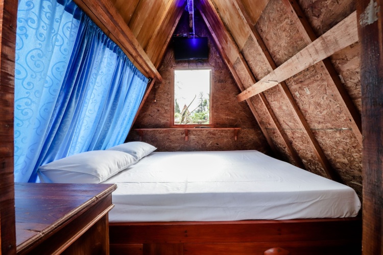 Standard Double room with mountain view