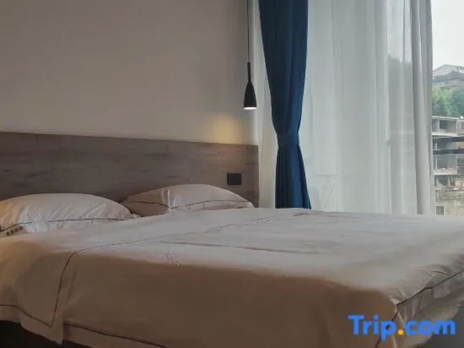Standard Double room with balcony and with mountain view
