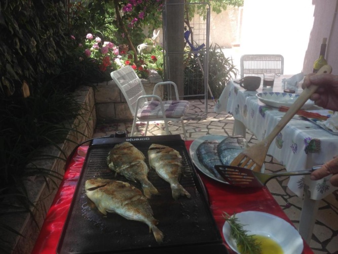 Meal