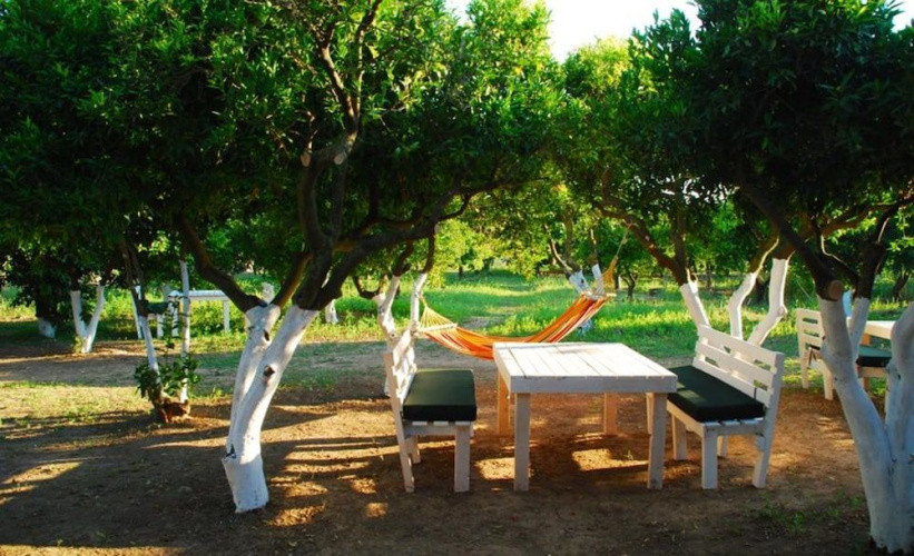 Bodrum Ecofarm Camp Hostel