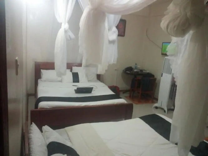 Executive Single room with city view