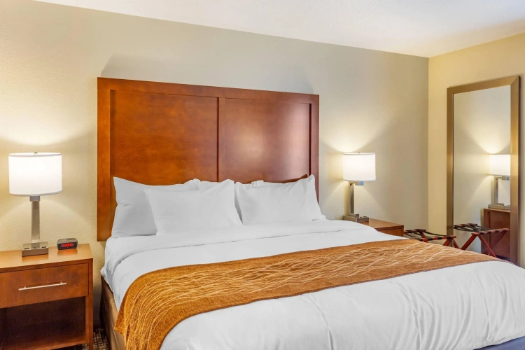 Standard Double room
