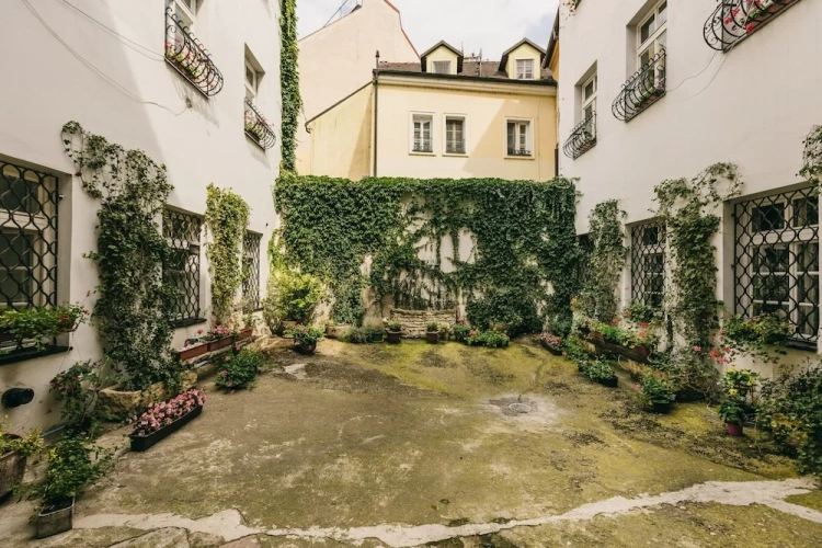 1 Bedroom Classic Apartment