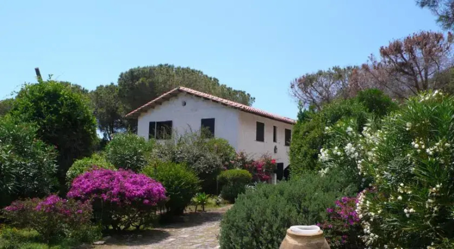 Cottage Morus
