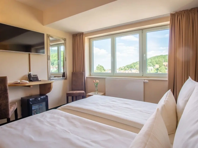 Standard Double room with view