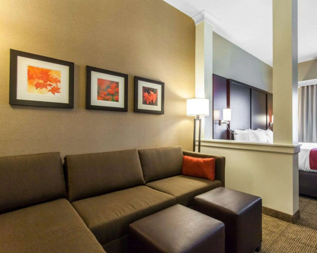 Comfort Suites Youngstown North