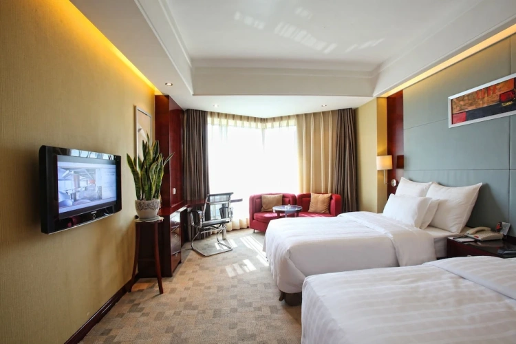 Standard Twin room with city view