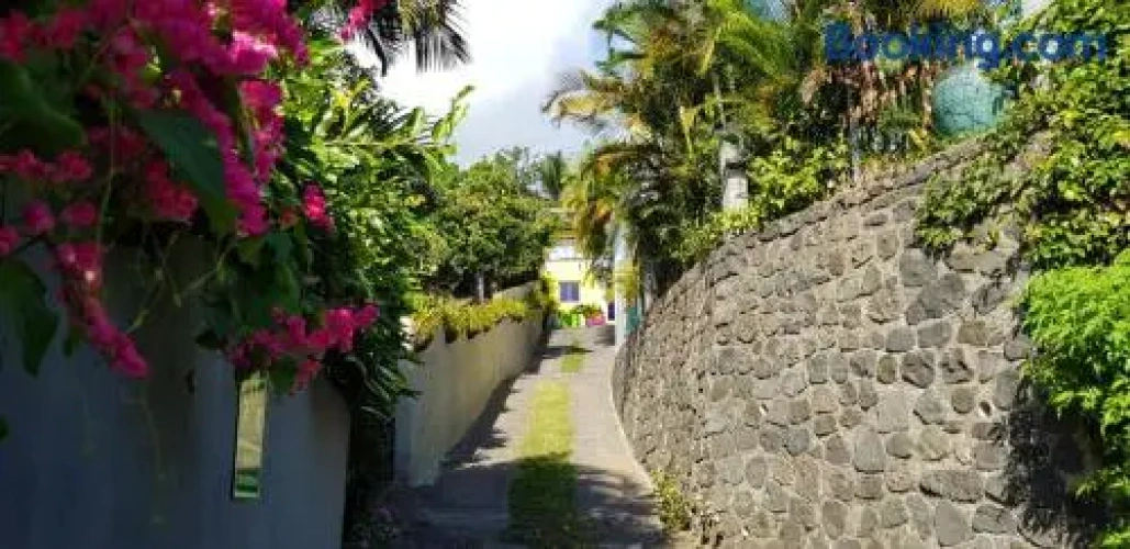Outside
