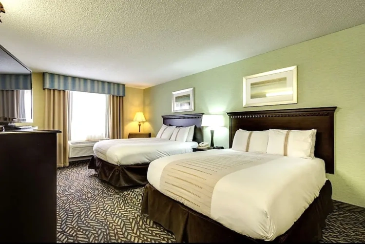 Quadruple Suite