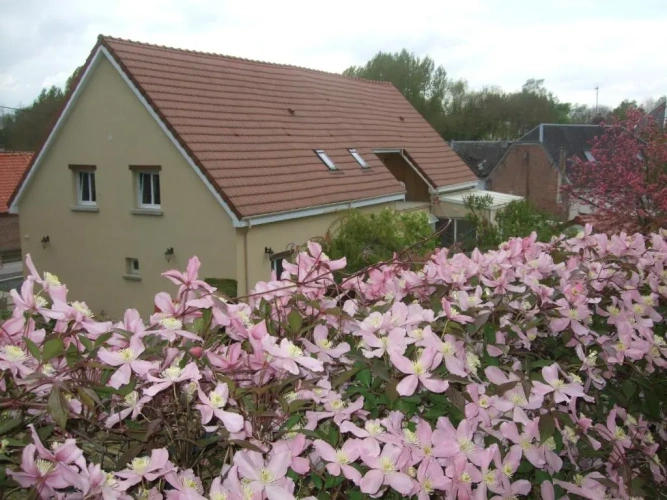 Double Suite with garden view