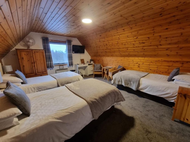 Standard Triple room