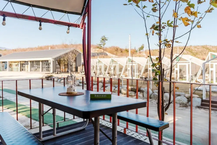 Sokcho Starry Night Glamping